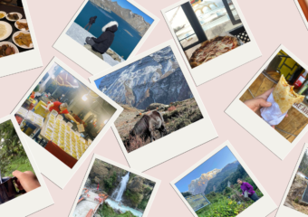 Discover Food and Travel with Shiwani Kapali